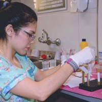 Taller Práctico sobre el Uso del Microscopio en Clínicas