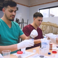 Taller Práctico sobre el Uso del Microscopio en Clínicas