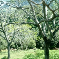 Cerro Akati y Salto Obispo - Turismo