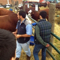 Extensión y Pasantías: Ing. Agronómica, Admin. Agropecuaria