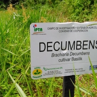 Extensión y Pasantías: Ing. Agronómica, Admin. Agropecuaria