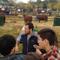 Extensión y Pasantías: Ing. Agronómica, Admin. Agropecuaria