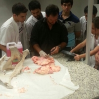 Extensión y Pasantías: Ing. Agronómica, Admin. Agropecuaria