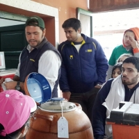 Extensión y Pasantías: Ing. Agronómica, Admin. Agropecuaria