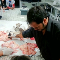 Extensión y Pasantías: Ing. Agronómica, Admin. Agropecuaria