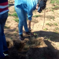 Práctica de Encalado de Suelos