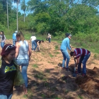 Práctica de Encalado de Suelos