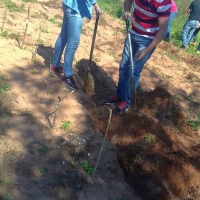 Práctica de Encalado de Suelos