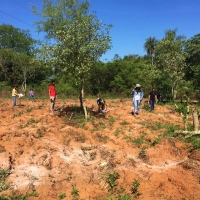 Práctica de Encalado de Suelos