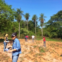 Práctica de Encalado de Suelos