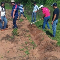 Práctica de Encalado de Suelos