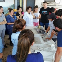 Producción Piscícola mediante transferencia de conocimientos