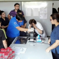 Producción Piscícola mediante transferencia de conocimientos