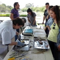 Producción Piscícola mediante transferencia de conocimientos