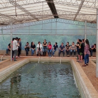 Producción Piscícola mediante transferencia de conocimientos