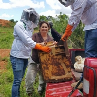 Práctica de Apicultura