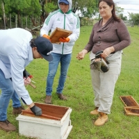 Práctica de Apicultura
