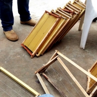 Práctica de Apicultura