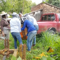 Práctica de Apicultura