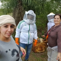 Práctica de Apicultura