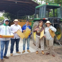 Práctica de Apicultura