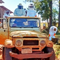 Cosecha de Miel de Abejas en Itapúa