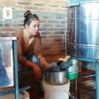 Cosecha de Miel de Abejas en Itapúa