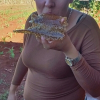 Cosecha de Miel de Abejas en Itapúa