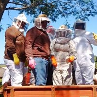 Cosecha de Miel de Abejas en Itapúa