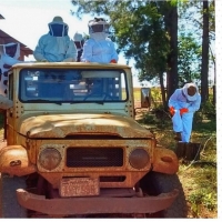 Cosecha de Miel de Abejas en Itapúa