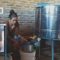 Cosecha de Miel de Abejas en Itapúa