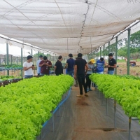 Actividad de campo en FREED FOOD S.R.L.
