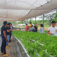 Actividad de campo en FREED FOOD S.R.L.