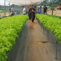 Actividad de campo en FREED FOOD S.R.L.