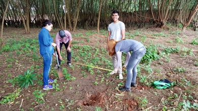 Trabajo de Campo de Edafología