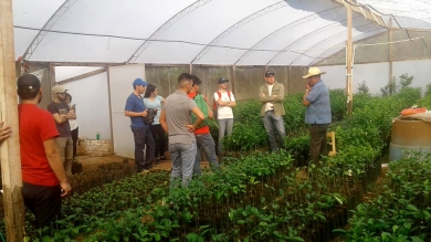 Trabajo de Campo en Caacupé