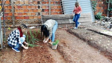 Actividad de Agronomía con Impacto Social