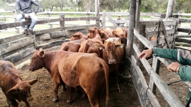 Salida de Campo hecha en Presidente Hayes, Chaco
