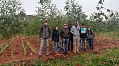 Actividad Práctica en el IPTA