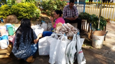 Práctica de Administración Agropecuaria