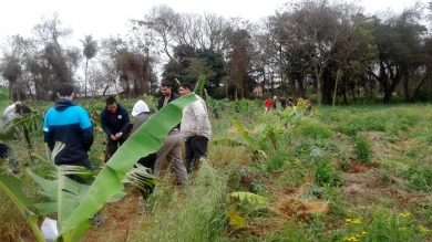 Actividades Prácticas en el IPTA