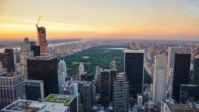 central park paisajismo