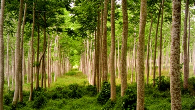 Actividad Práctica en Caazapá y Caaguazú