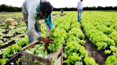 Actividad Práctica en Itá