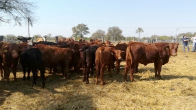 Visita a Cabaña "Celia María"