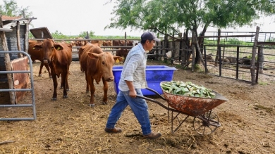 Salida de Campo a Piribebuy