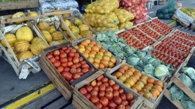 Actividad Práctica en el Mercado Central de Abasto