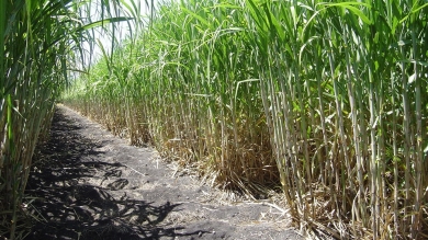Actividad Práctica en San Lorenzo