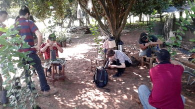 Práctica de Propagación de Plantas en Caacupé