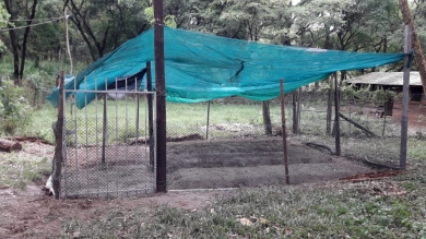 Actividad Práctica con Impacto Social